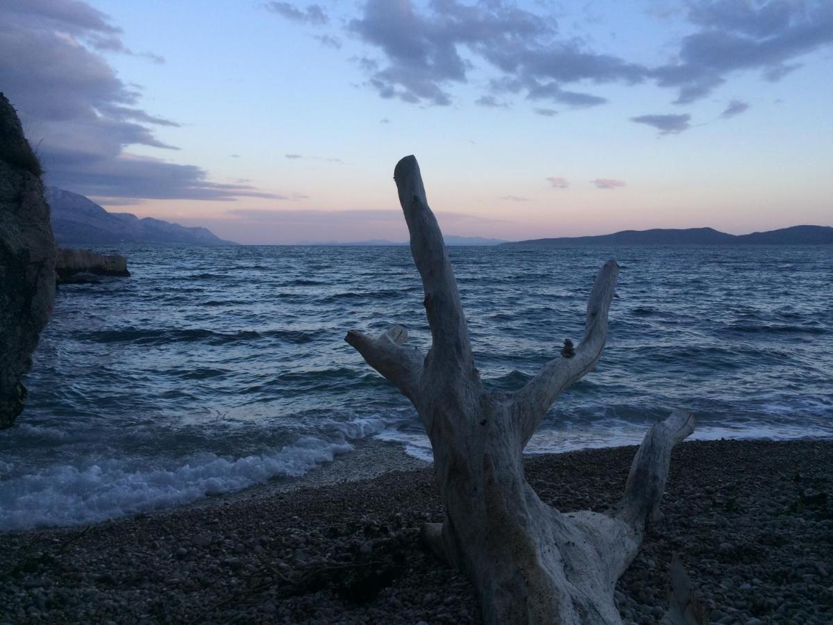 Hostel Dalmatia Marusici  Kültér fotó
