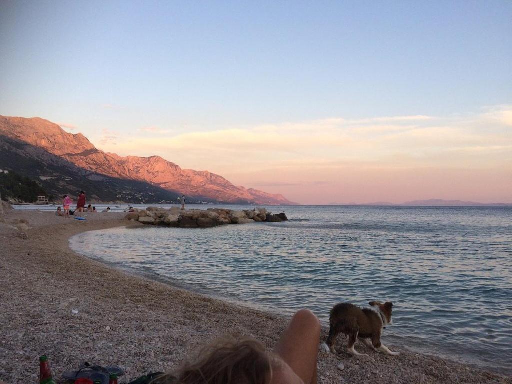 Hostel Dalmatia Marusici  Kültér fotó
