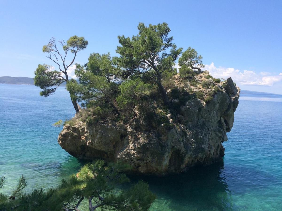 Hostel Dalmatia Marusici  Kültér fotó